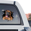 Vibrant Boxer Dog window sticker decorating the rear glass of a truck outdoors.