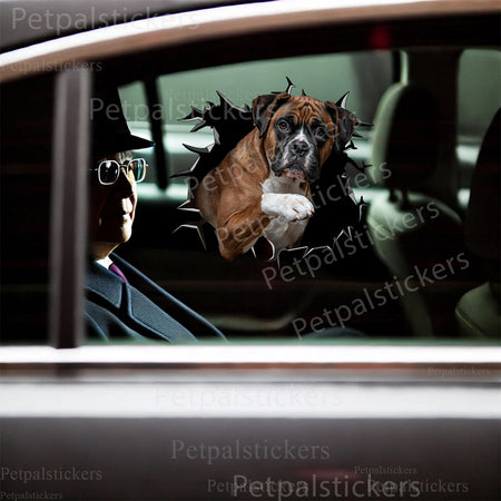 Playful Boxer Dog clear decal neatly adhered to the smooth surface of a toilet lid.