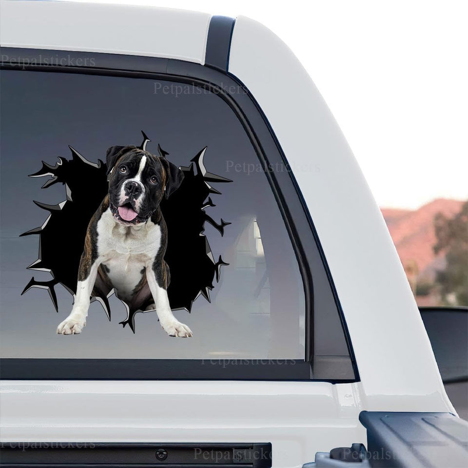 Clear standalone product design showing the expressive face of a Boxer dog.