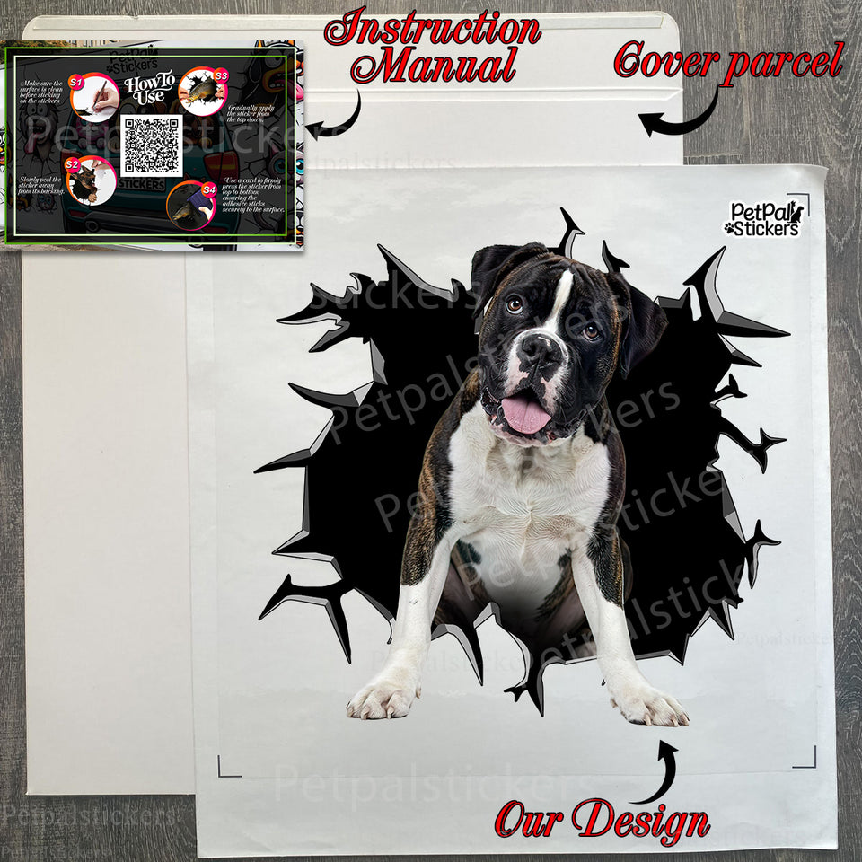 Protective package containing the Boxer car sticker and application guide.