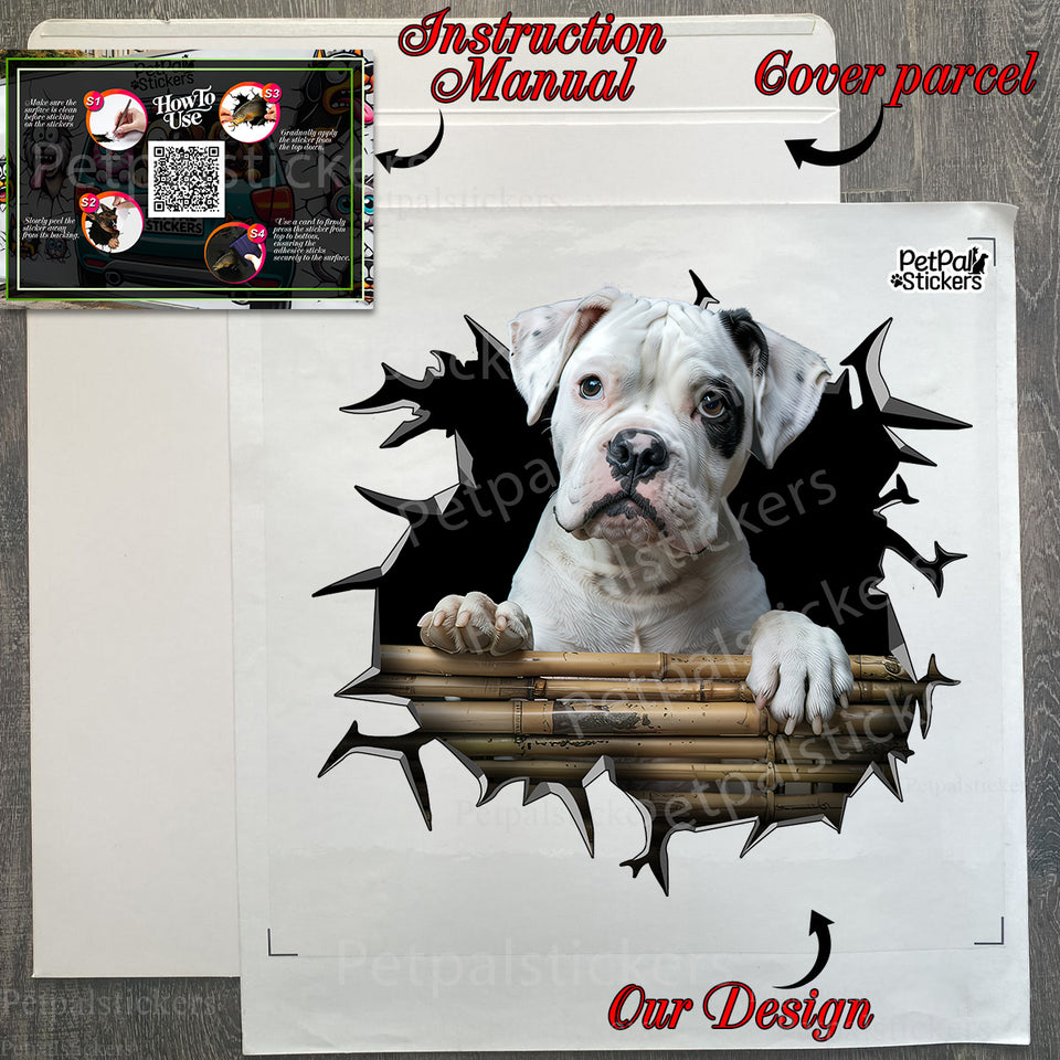 Secure packaging box and product package containing the Boxer Dog vinyl decal and instructions.