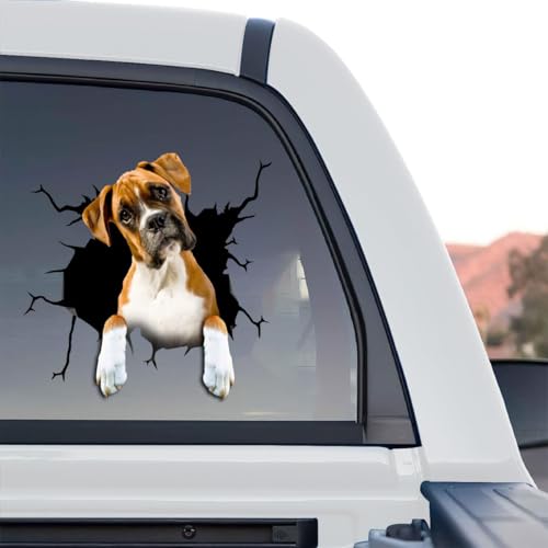 Graphic Boxer decal artwork displayed as a standalone product design on transparent film.