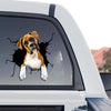 Graphic Boxer decal artwork displayed as a standalone product design on transparent film.