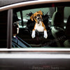 Glossy Boxer dog sticker adhered smoothly to a white car door surface outdoors.