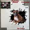 Protective retail package containing the Boxer sticker along with clear application steps.