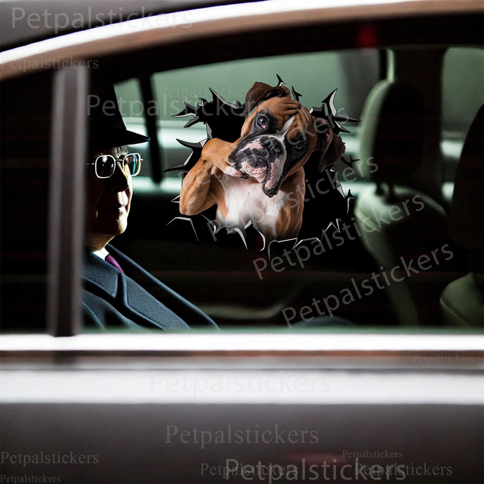 Vibrant Boxer graphic vinyl decal applied smoothly onto a white car door.