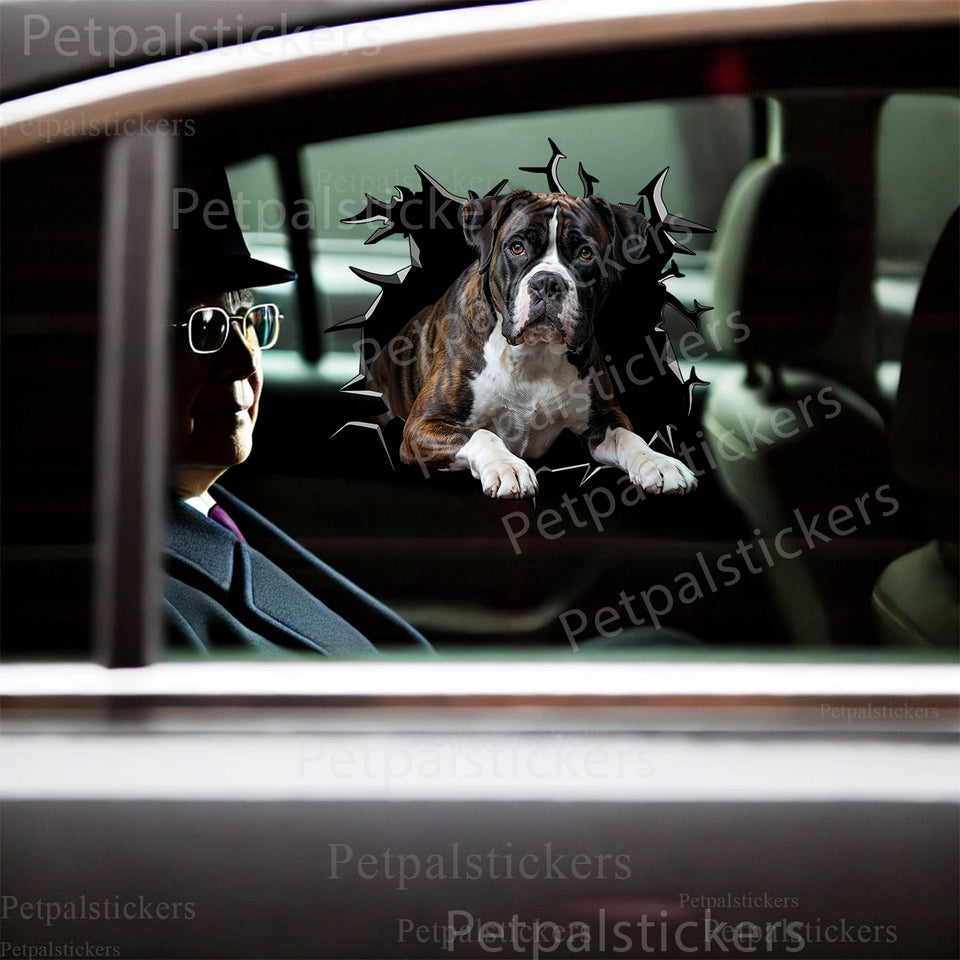 Boxer dog decal displayed on a glossy car door showing detailed breed artwork.