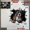 Printed decal presentation and protective package showing application sheet.