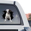 Glossy Boxer Dogs vinyl sticker prominently displayed on the rear window of a truck.