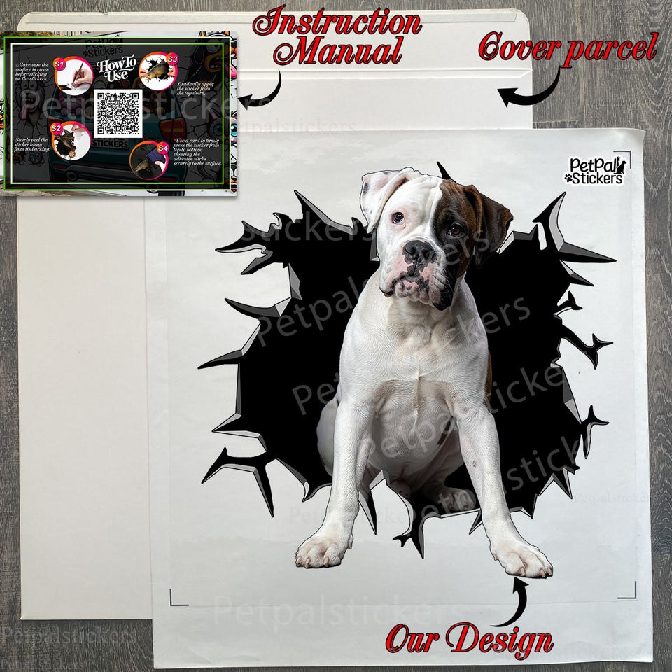 Securely wrapped package showing the Boxer Dogs sticker alongside step-by-step instructions.