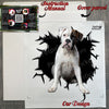 Securely wrapped package showing the Boxer Dogs sticker alongside step-by-step instructions.