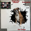 Carefully wrapped package containing the Brindle Boxer decal with instructions.