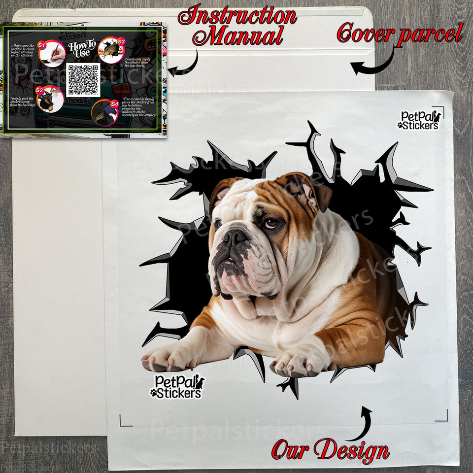 Protective retail package containing the glossy British Bulldog sticker and instructions.