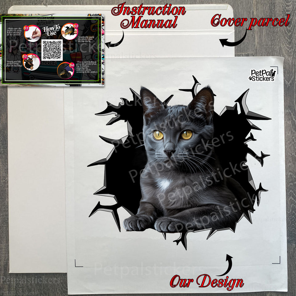 Unboxing the British Shorthair Cat decal showing secure shipping package and guide.