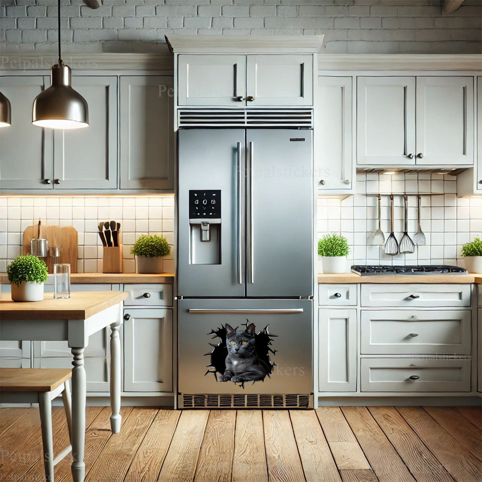 Glossy British Shorthair Cat art sticker placed on a white kitchen refrigerator.