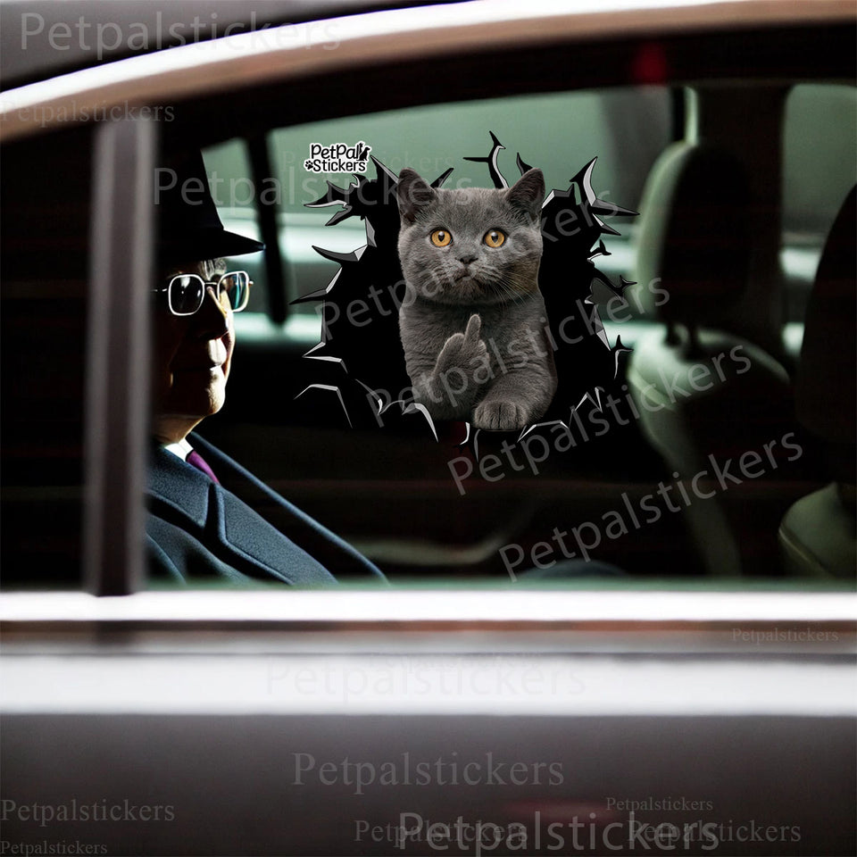 Vibrant British Shorthair cat graphic vinyl sticker applied cleanly to the exterior of a white car door.