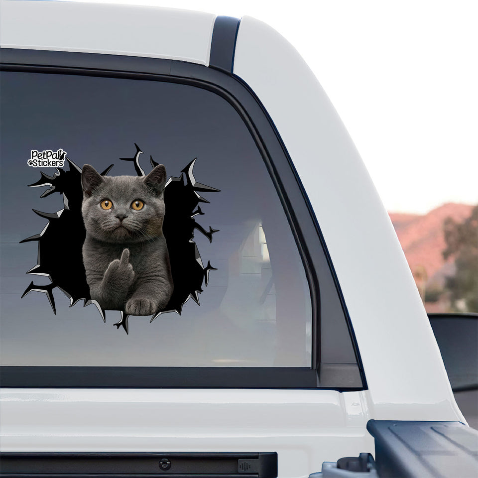 Glossy British Shorthair window decal prominently featured on the back glass of a truck outdoors.