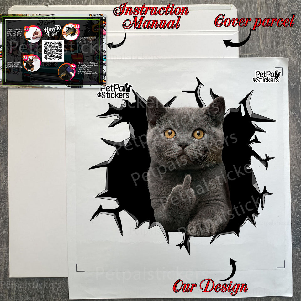 Unboxed British Shorthair car decal shown with its retail protective package and clear instructions.