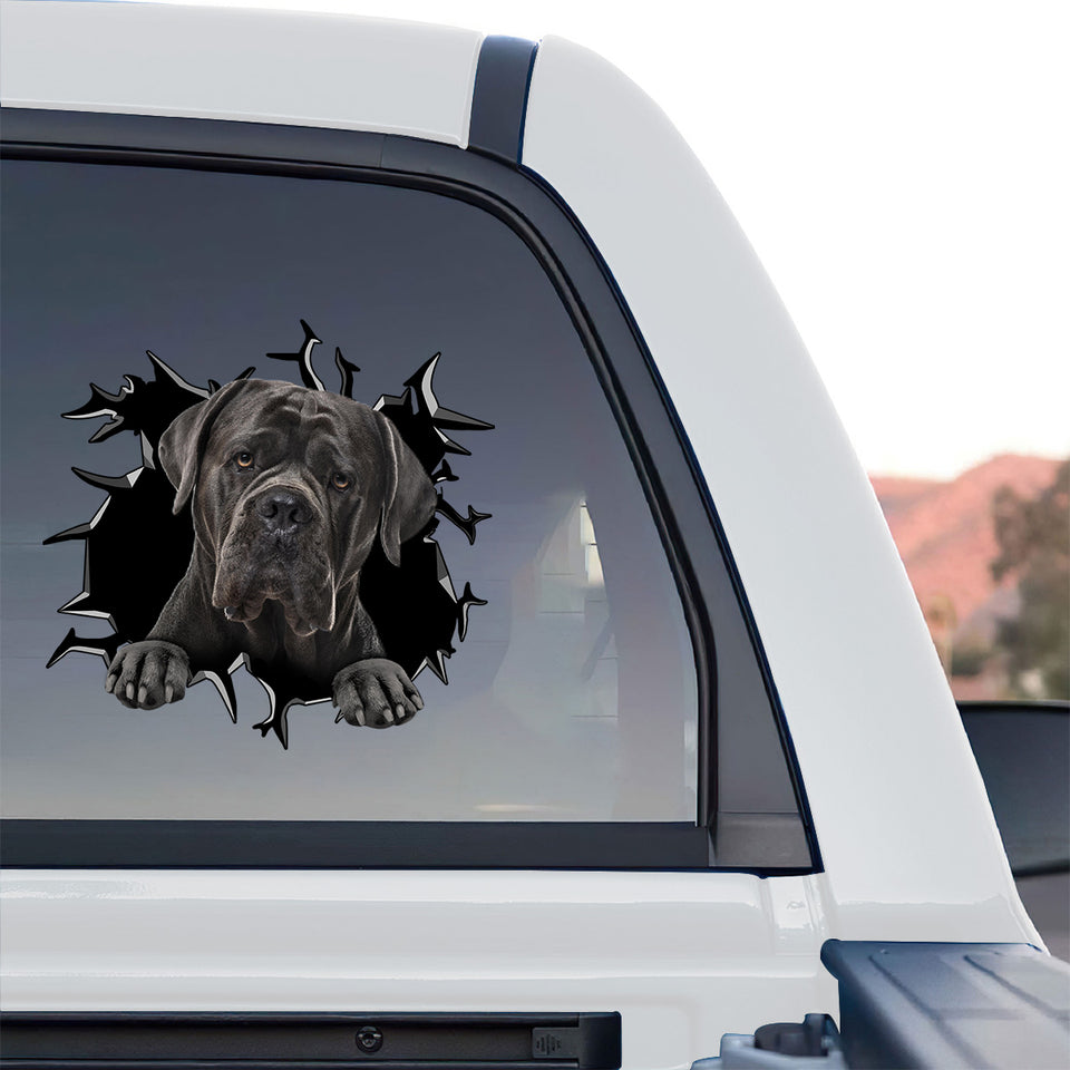 Protective Cane Corso graphic decal displayed on the rear window of a truck.