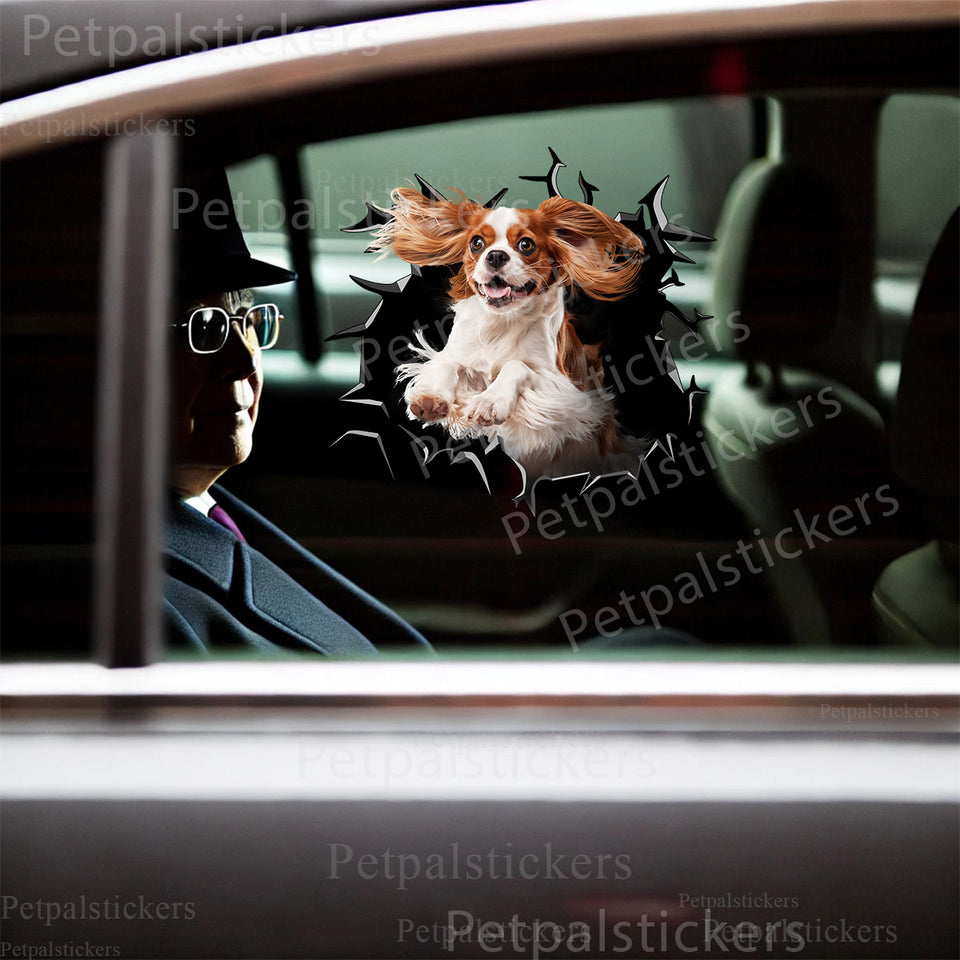 Cute Cavalier King Charles Spaniel broken glass sticker applied smoothly to a car door.