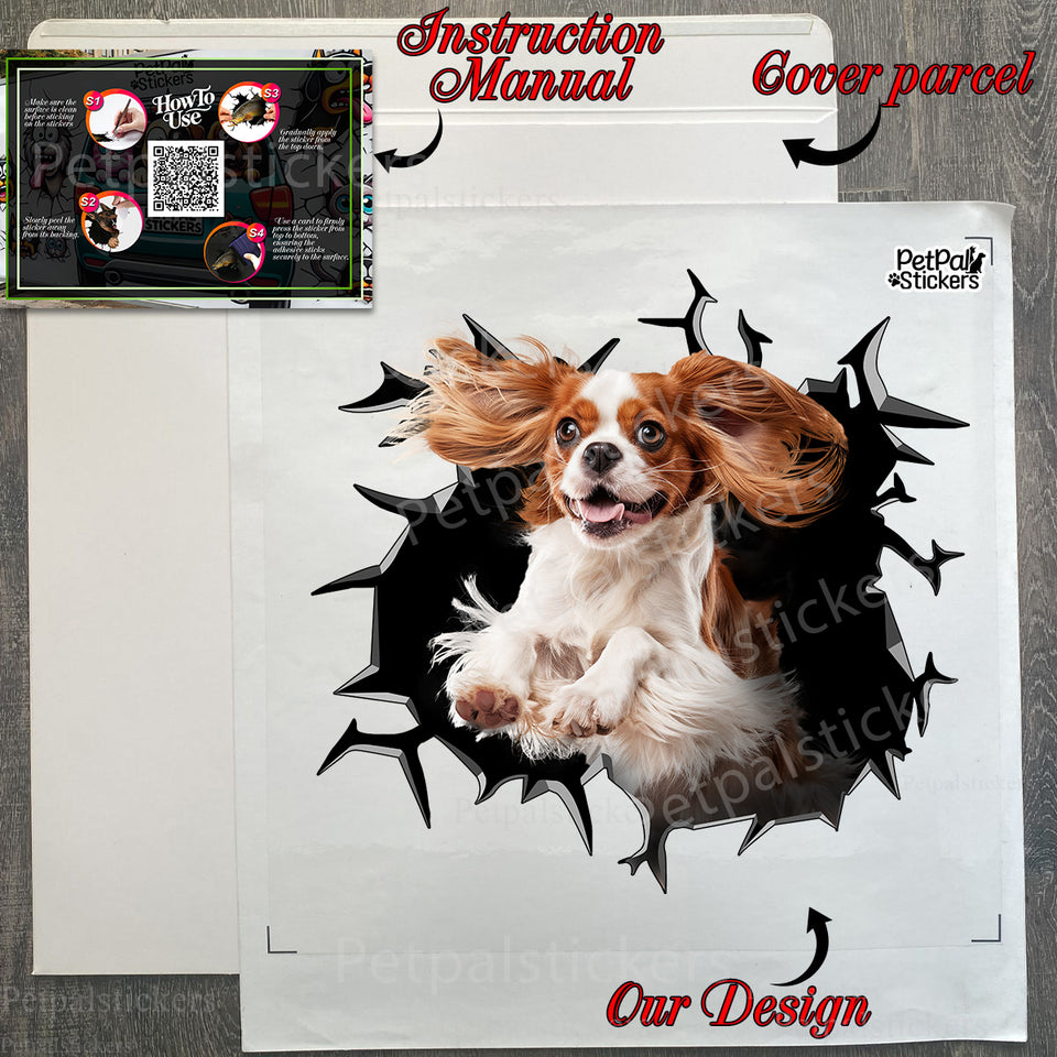 Secure retail package containing the Cavalier King Charles Spaniel window decal with instructions.