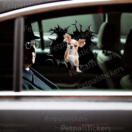 Playful Chihuahua dog decal applied to a smooth ceramic surface in a home toilet.