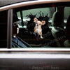 Vibrant Chihuahua decal graphic applied smoothly to the exterior of a white car door.