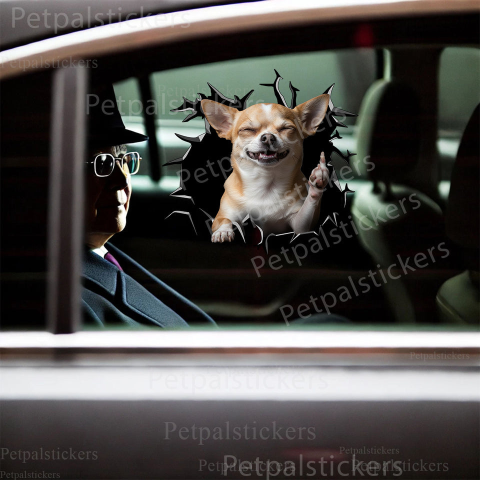 Peeking Chihuahua vinyl decal applied neatly on a white car door exterior.