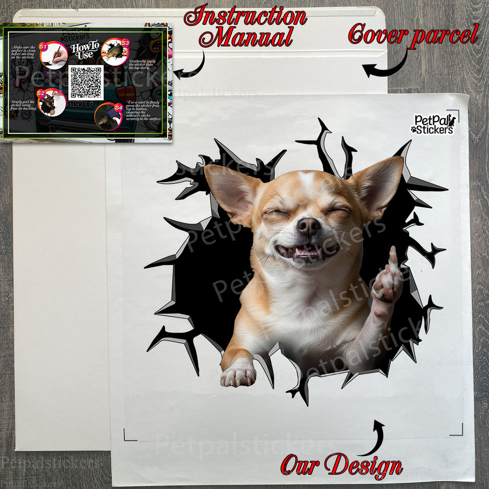 Unboxing the Chihuahua car decal package showing included application instructions.