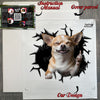 Unboxing the Chihuahua car decal package showing included application instructions.