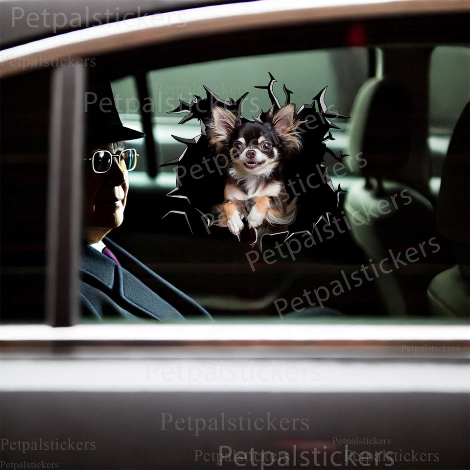 Funny Chihuahua head popping through a realistic crack graphic applied to a smooth car door.