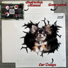 Protective cardboard package containing the Chihuahua transparent vinyl decal and guide.
