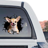 Vibrant Chihuahua graphic decal showing a standalone product design with funny tongue out artwork.