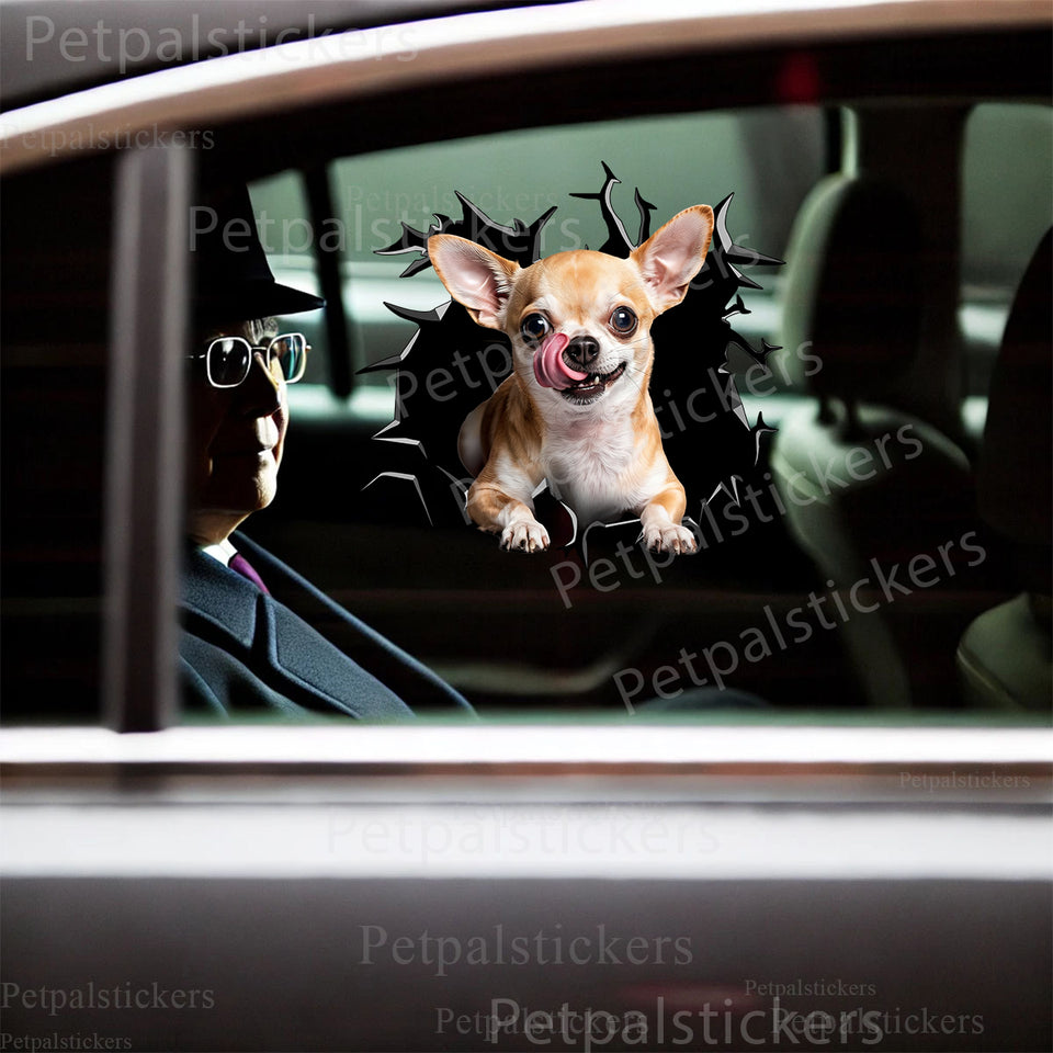 Funny Chihuahua sticker featuring a cracked window graphic applied to a smooth white car door.