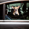 Funny Chihuahua sticker featuring a cracked window graphic applied to a smooth white car door.