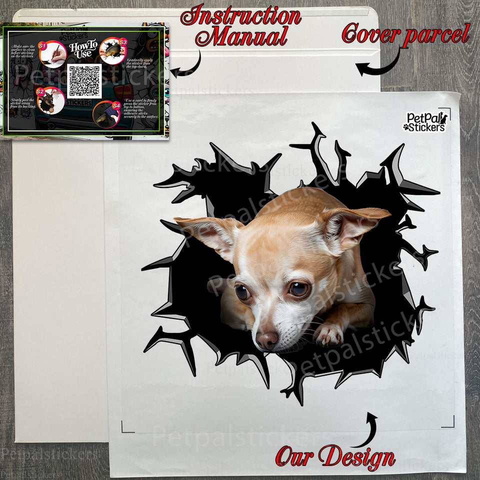 Protective package displaying the Chihuahua car decal with instructions.