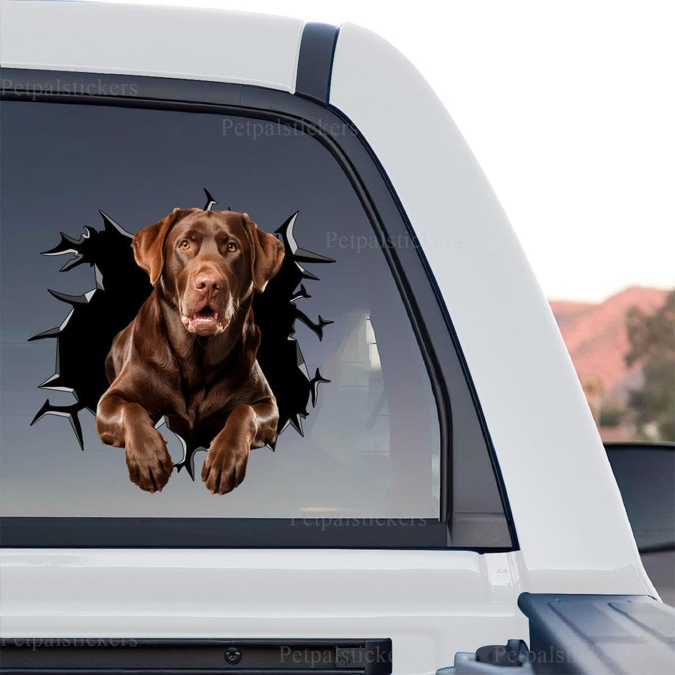 Detailed standalone product design graphic of a Chocolate Lab with gloss laminated finish.
