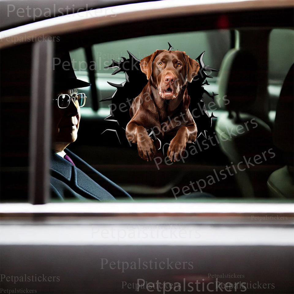 Vibrant Chocolate Lab sticker displayed cleanly on the smooth exterior of a white car door.