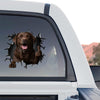 Vibrant Chocolate Labrador window sticker applied smoothly to the rear glass of a truck.