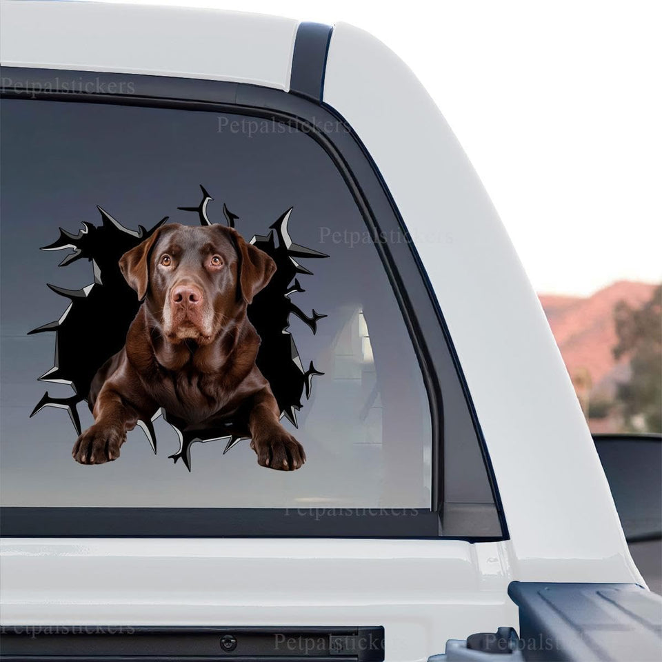 Detailed Chocolate Labrador Retriever graphic artwork in a standalone product design.