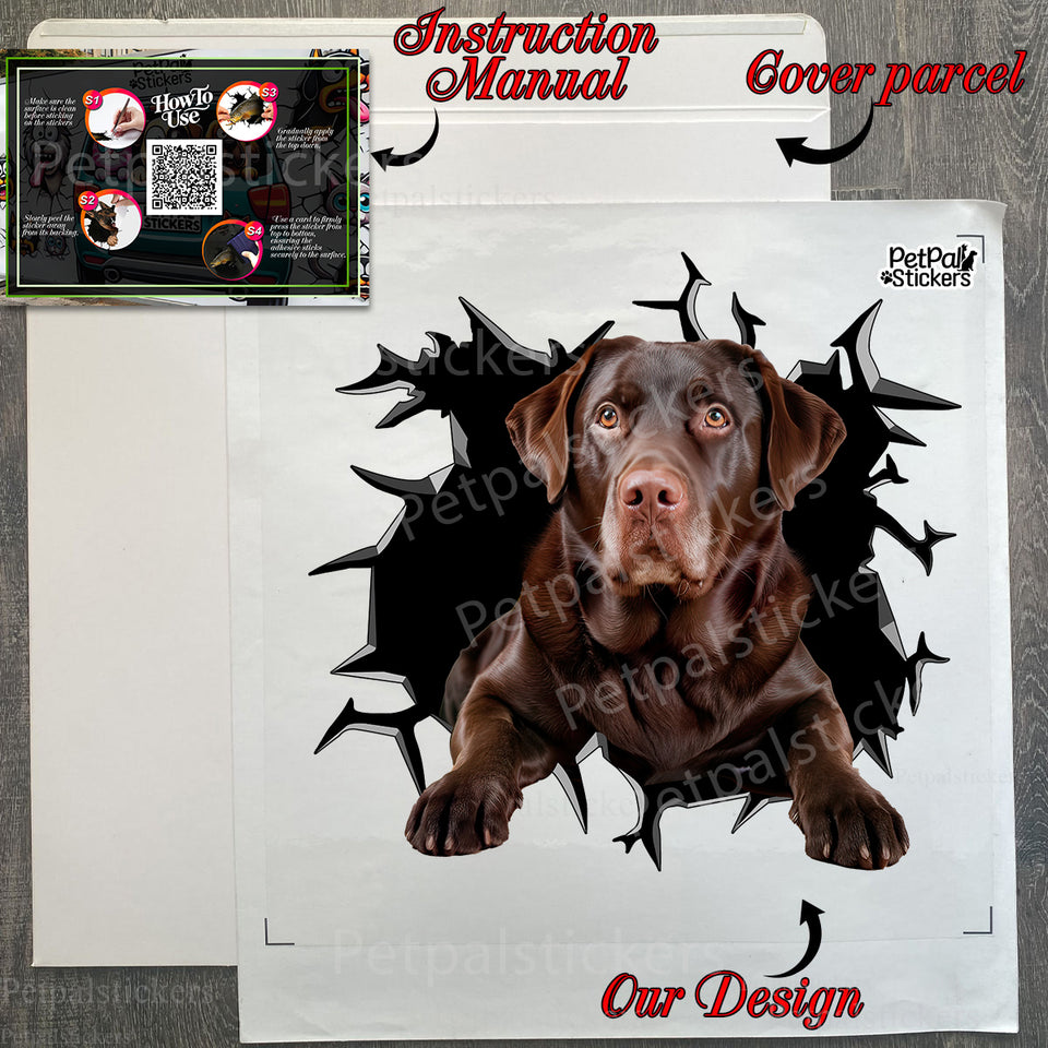 Protective packaging presentation showing the Chocolate Labrador Retriever decal package.