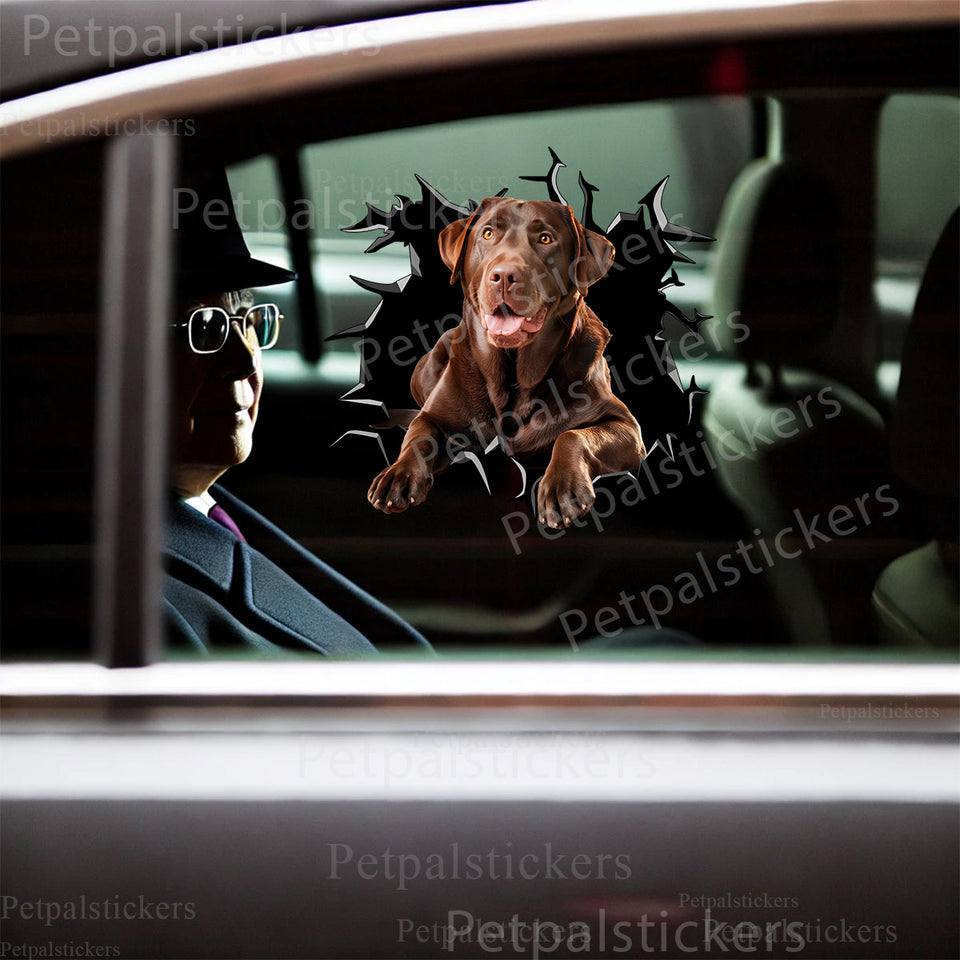 Glossy vinyl Chocolate Labrador Retriever decal applied cleanly on a sleek car door.