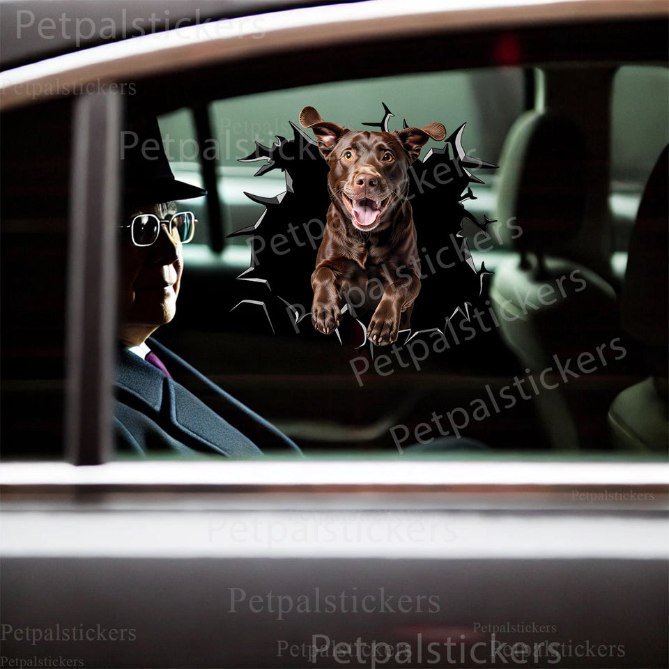 Chocolate Labrador Retriever cracked glass decal displayed on a car door exterior.