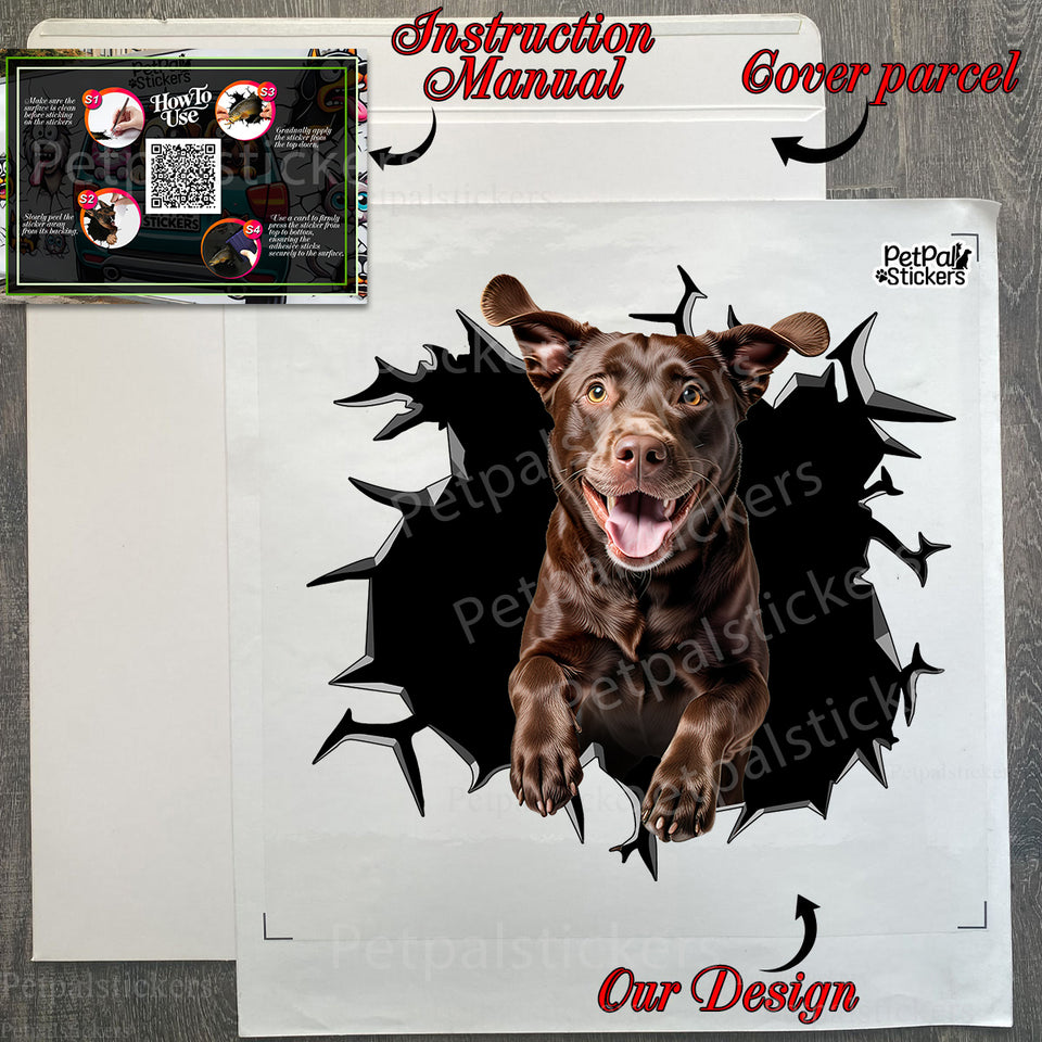 Protective package presentation featuring the Chocolate Labrador Retriever decal sheet.