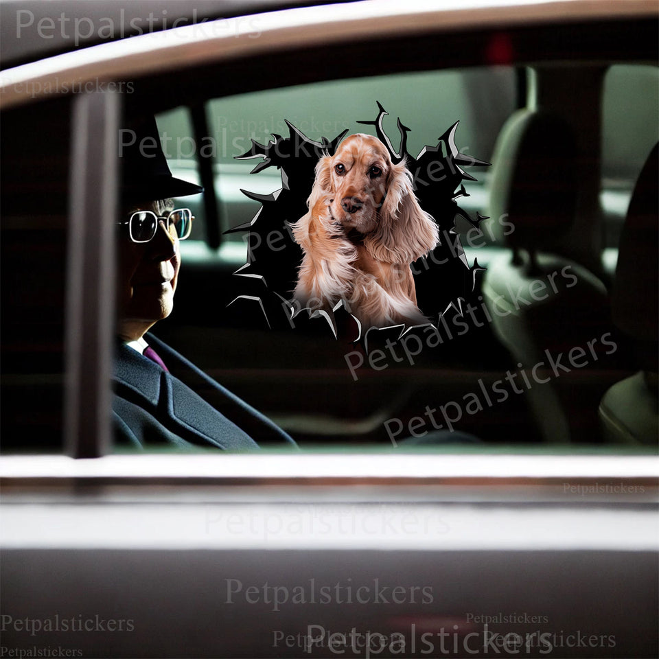 Adhesive Cocker Spaniel graphic sticker displayed smoothly on a white car door.