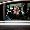 Adhesive Cocker Spaniel graphic sticker displayed smoothly on a white car door.