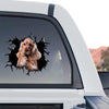 Vibrant Cocker Spaniel pet decal applied to the rear window of a truck.