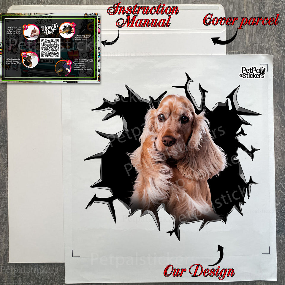 Carefully packaged Cocker Spaniel vinyl sticker inside its protective package.