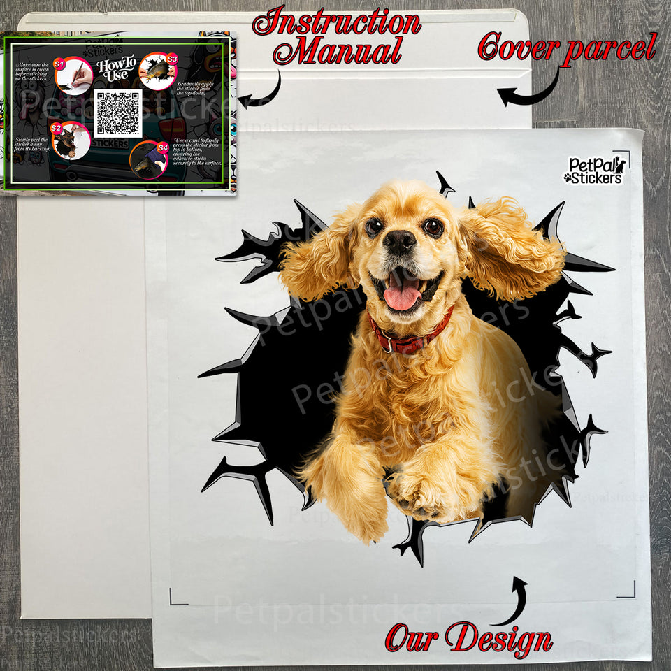 Protective cardboard package containing the Cocker Spaniel decal with instructions.