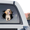 Playful dog graphic sticker cleanly applied to the rear window of a truck.